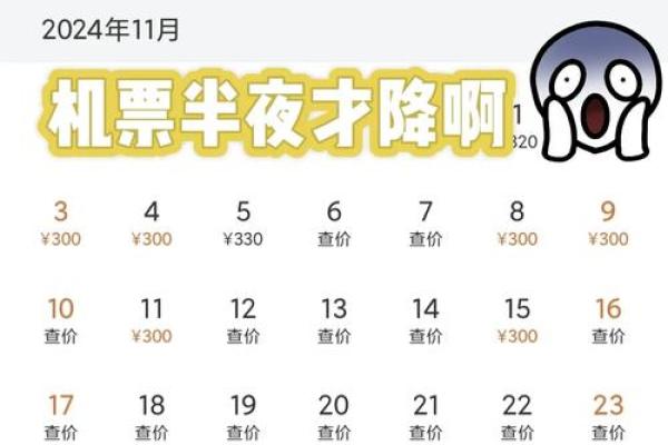 揭秘怎么买机票最便宜的技巧与秘诀